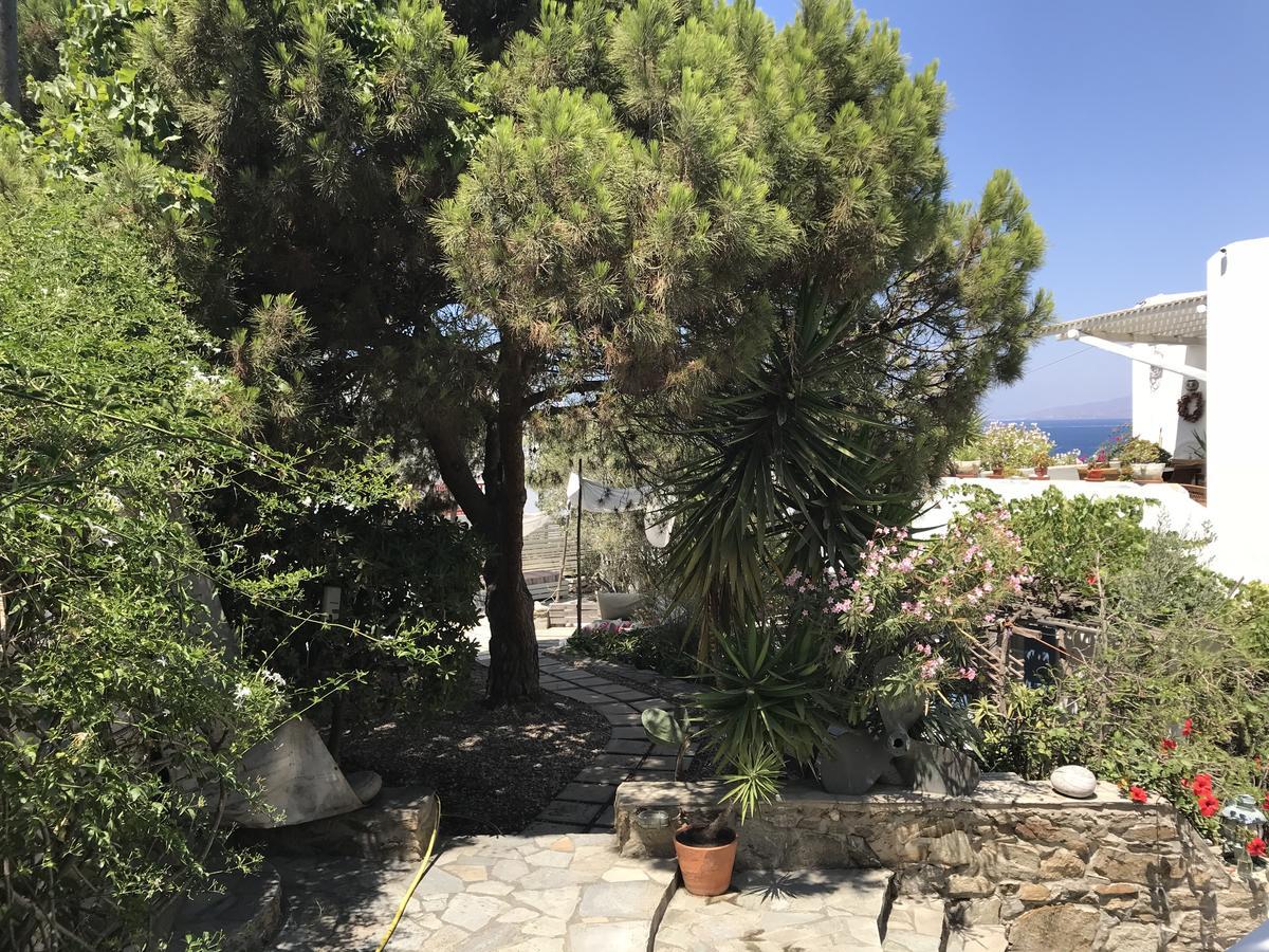 Studios & Suites Rania Mykonos Town エクステリア 写真