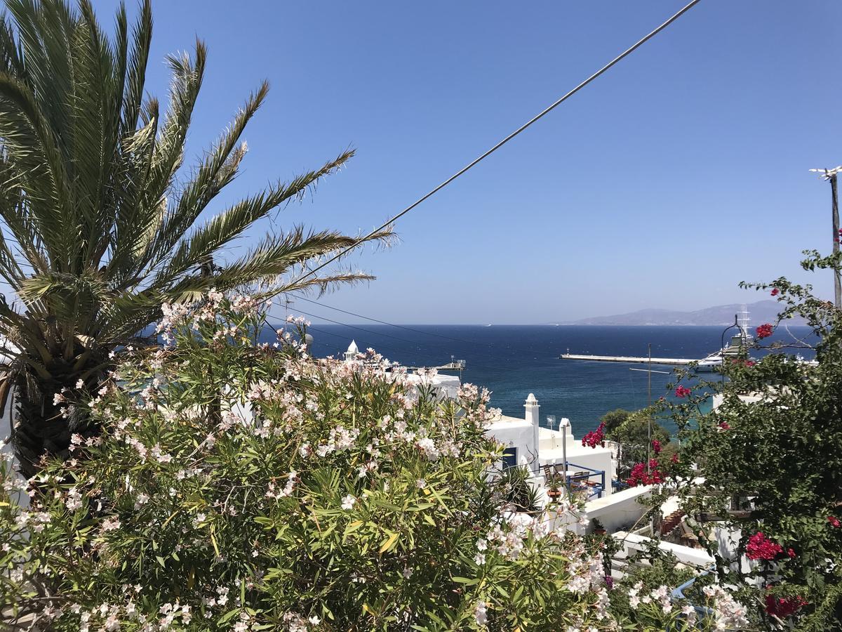 Studios & Suites Rania Mykonos Town エクステリア 写真