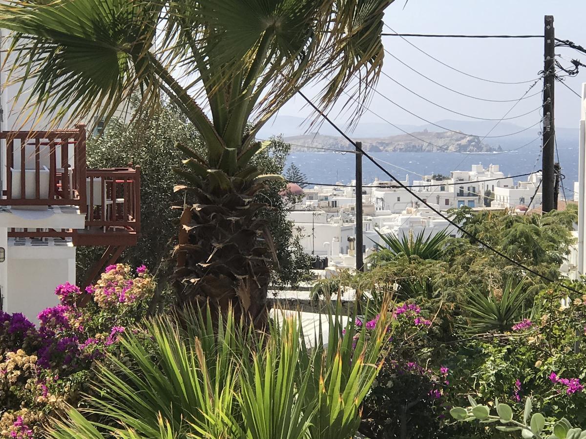 Studios & Suites Rania Mykonos Town エクステリア 写真